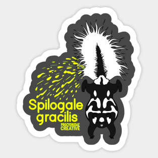 Western spotted skunk Sticker